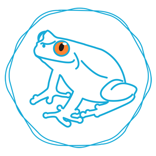 Wataame Frog