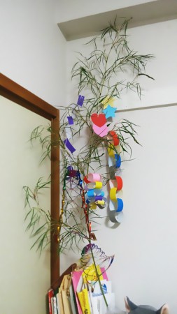Tanabata Sasa-kazari